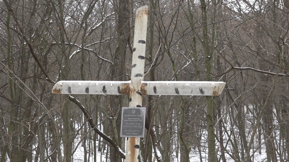 A cross stands at the site where nine of the 13 insurgents who died in a 1945 battle with the NKVD are buried in the village of Selyshche, Halych district, Ivano-Frankivsk region. Photo: Suspilne Ivano-Frankivsk